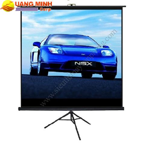 Màn chiếu Grandview PT-L96x96WM